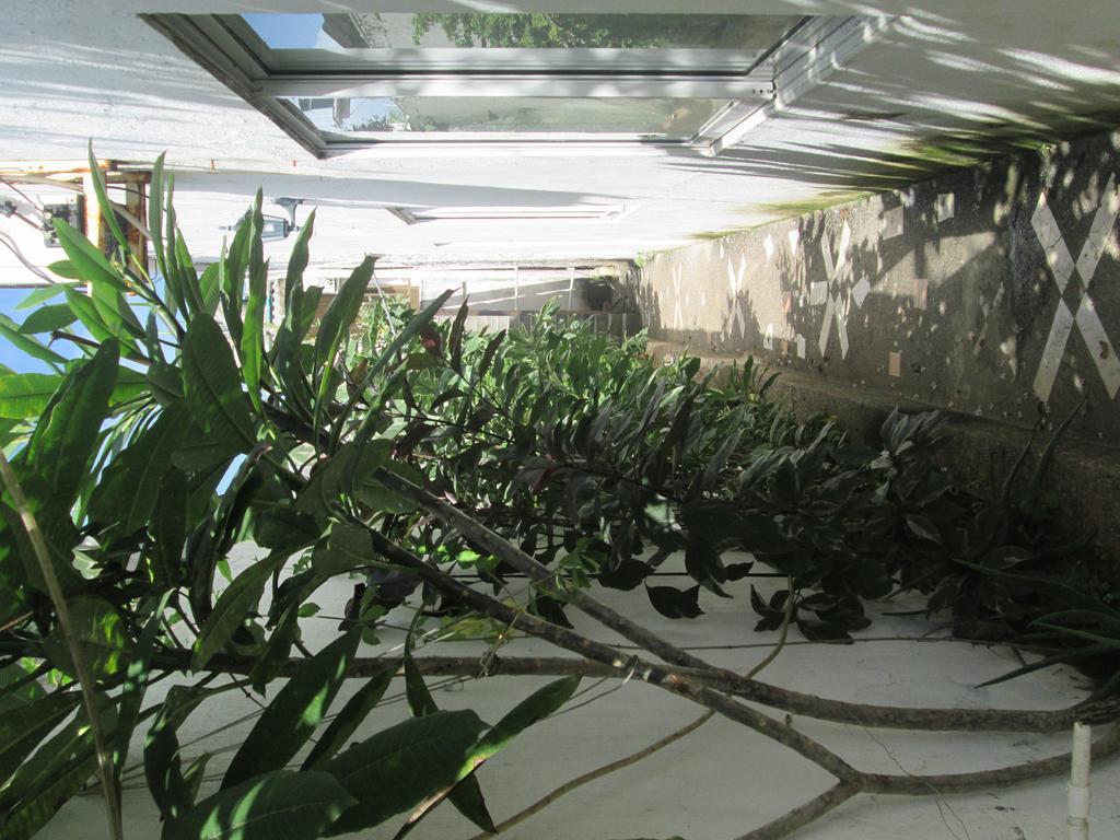 Hostal Poseidon Del Mar San Andrés Εξωτερικό φωτογραφία